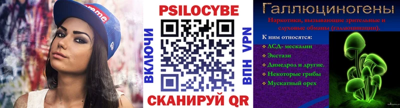 omg ссылка  Ачхой-Мартан  Псилоцибиновые грибы Psilocybe 