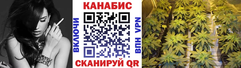 Бошки Шишки OG Kush где купить наркотик Ачхой-Мартан